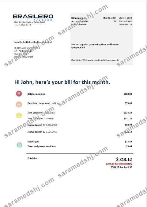 Brazil Braziliero Telecom business telecommunication bill Word and PDF template